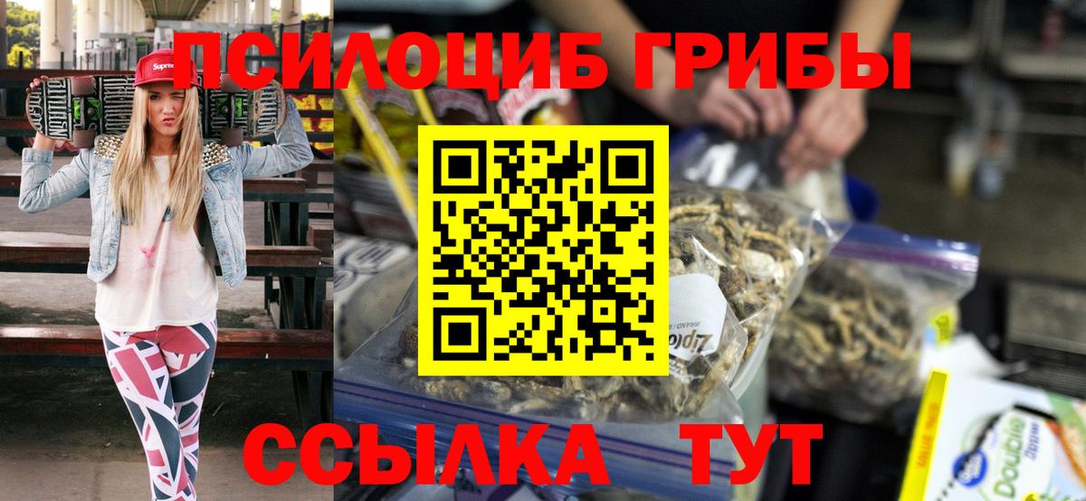 Галлюциногенные грибы Psilocybine cubensis Бугуруслан